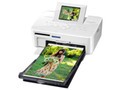 Canon SELPHY CP710驱动下载产品图